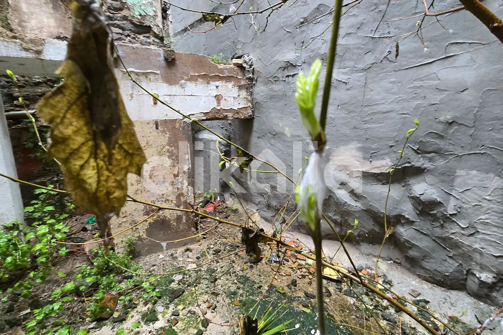 Casa o chalet en venta en Monistrol de Montserrat