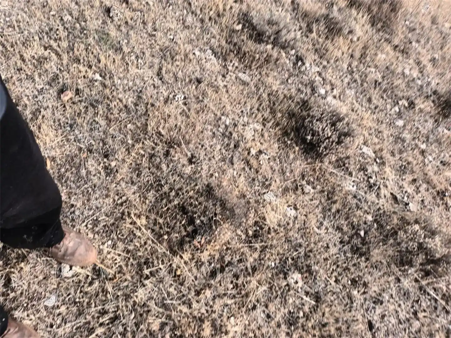 Terreno en venta en Uclés