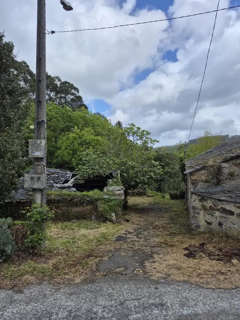 Vista exterior de Finca rústica en venta en As Somozas  con Jardín privado