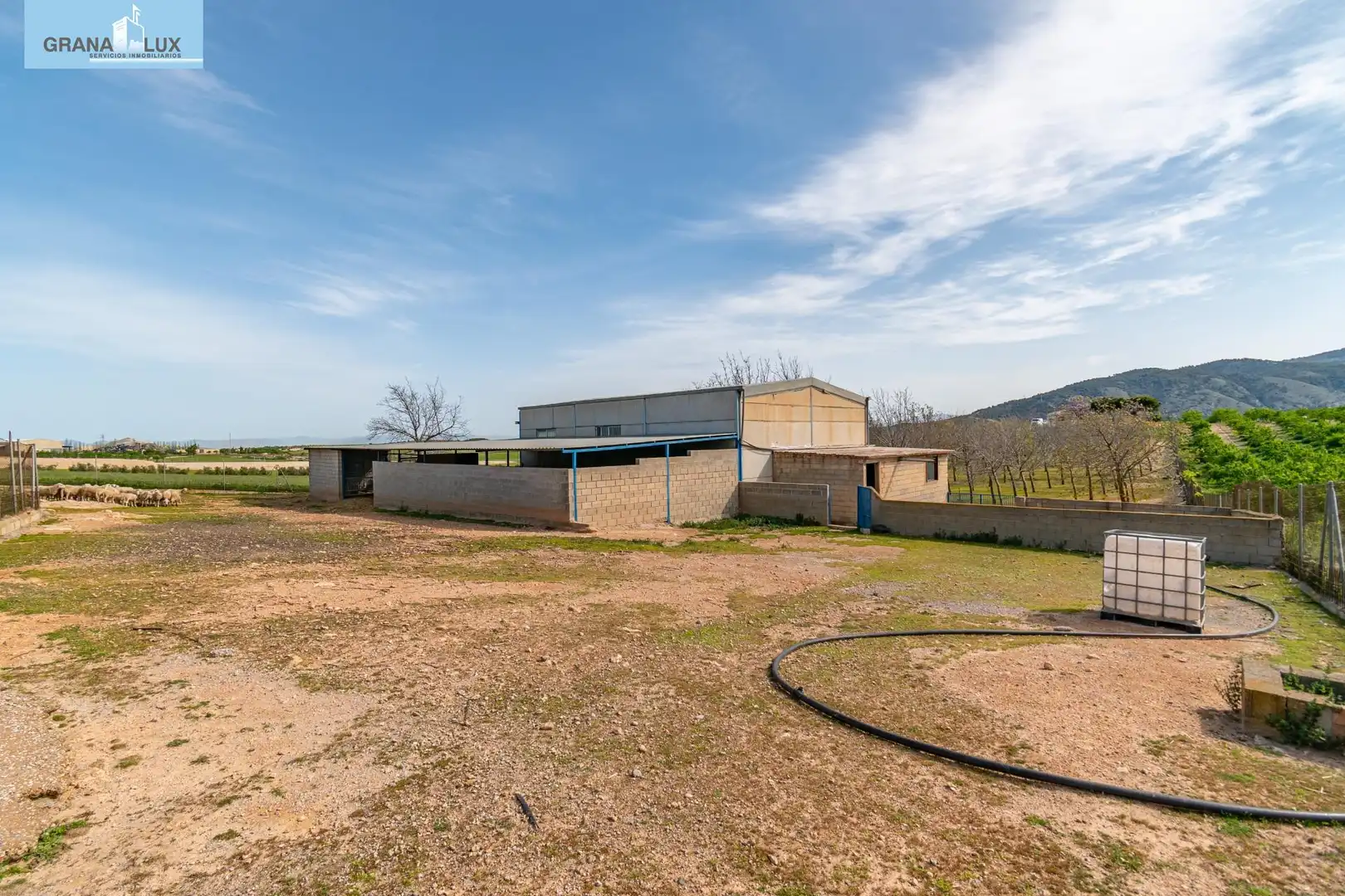 Rural land for sale in 18640, imagen 50