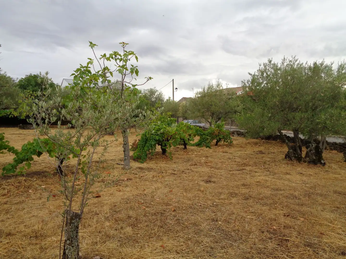 Residential for sale in Carretera de Pasaron, Tejeda de Tiétar