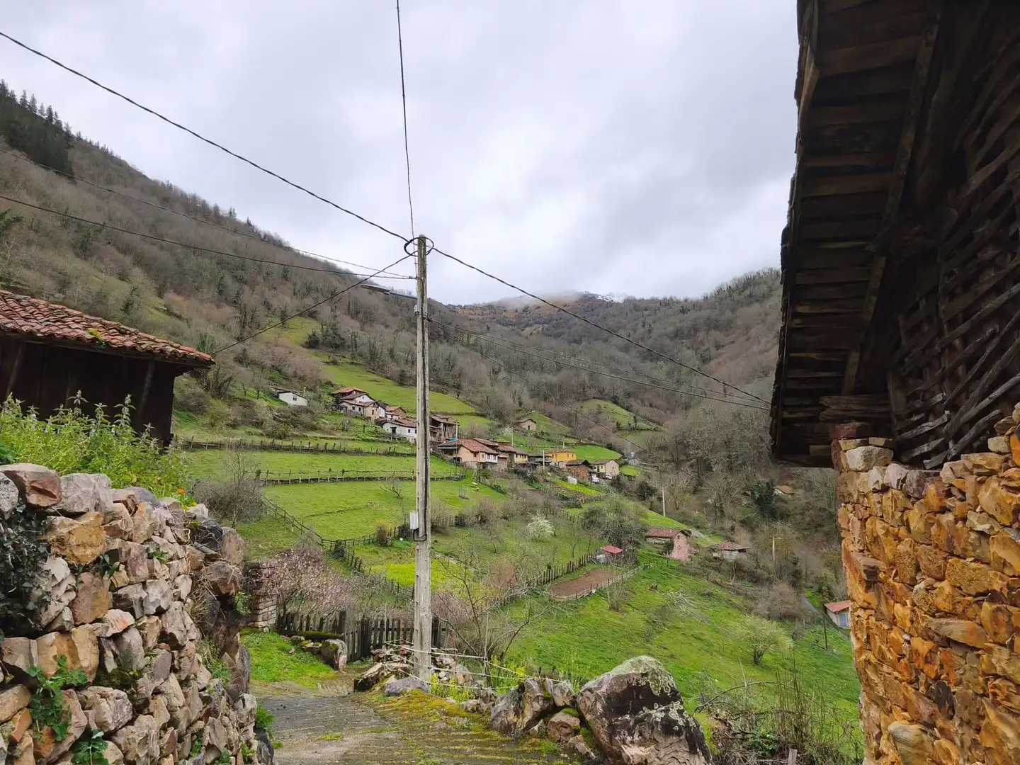 Vista exterior de Casa o chalet en venta en Proaza con Piscina