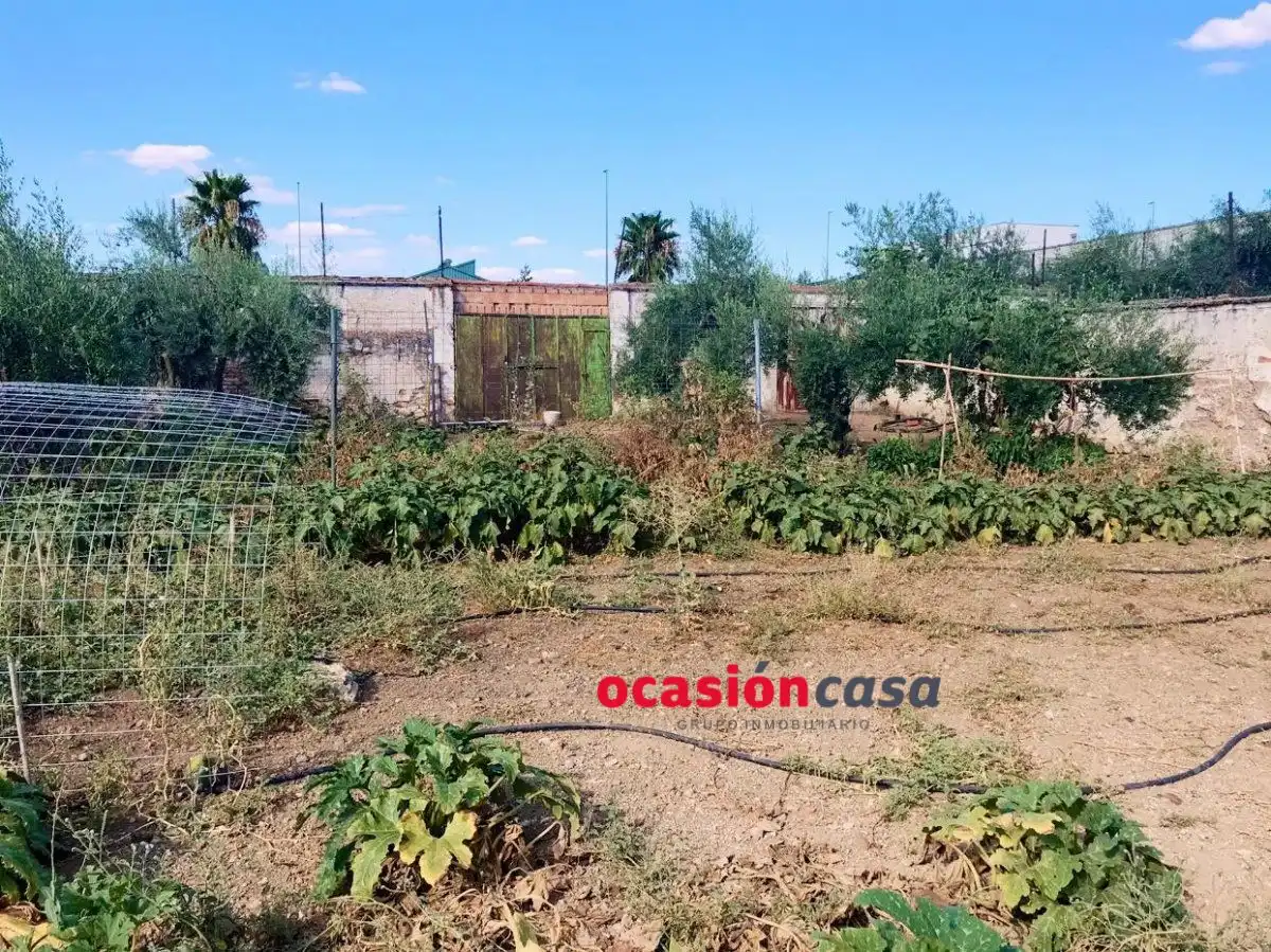 Lands and plots for sale in Belmez, imagen 6