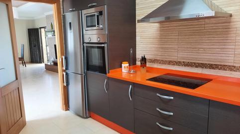 Foto 3 de Finca rústica en venda a Arcos de la Frontera, Cádiz