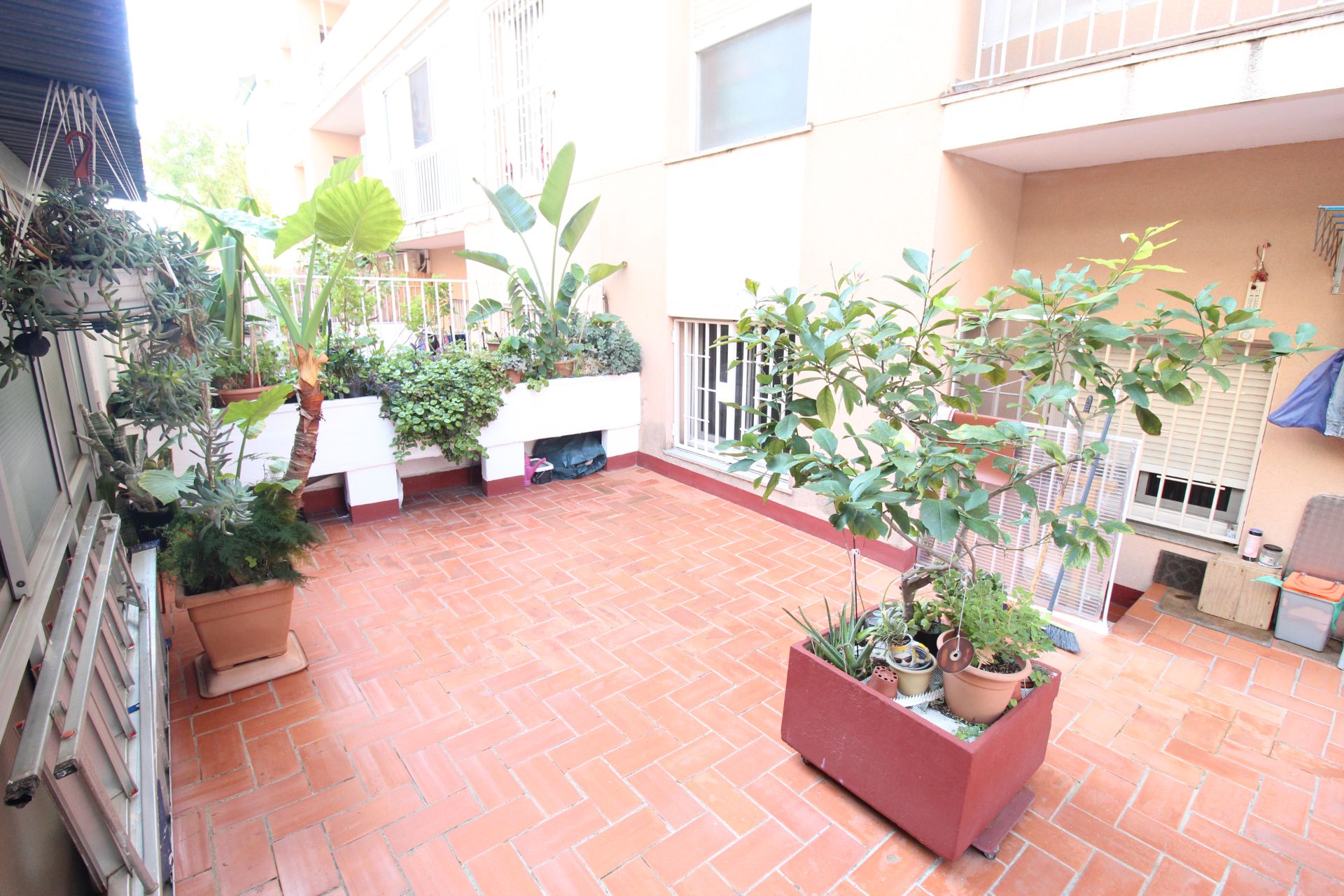 Terrace of Planta baja for sale in  Barcelona Capital  with Furnished