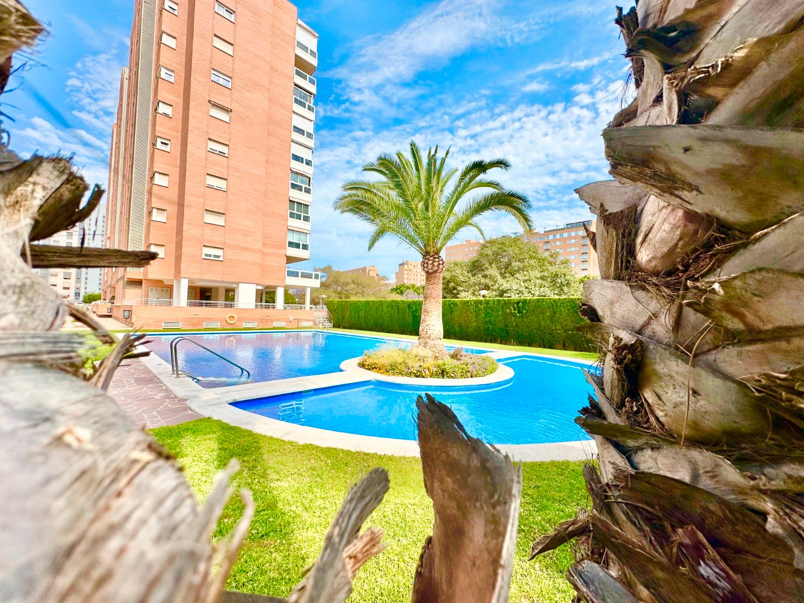 Swimming pool of Attic for sale in Alicante / Alacant  with Air Conditioner, Private garden and Parquet flooring