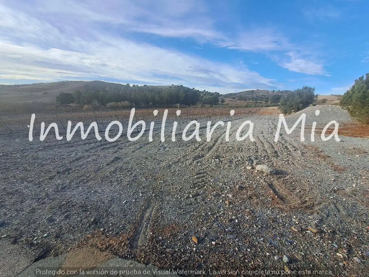 Houses for sale in Zarzalico