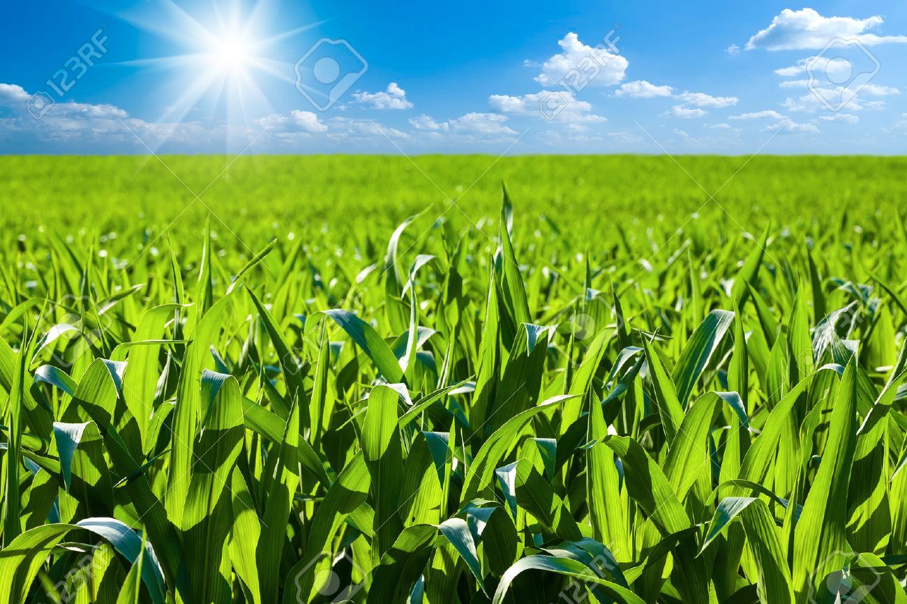 Außenansicht von Grundstücke zum verkauf in Paradinas de San Juan