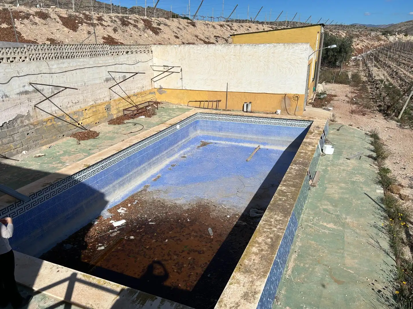 Piscina de Casa o chalet en venta en Novelda con Calefacción, Jardín privado y Terraza