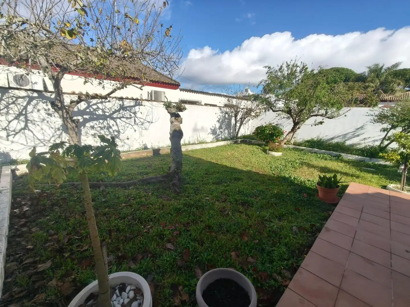 Jardí de Casa o xalet en venda en Chiclana de la Frontera amb Aire condicionat, Jardí privat i Traster