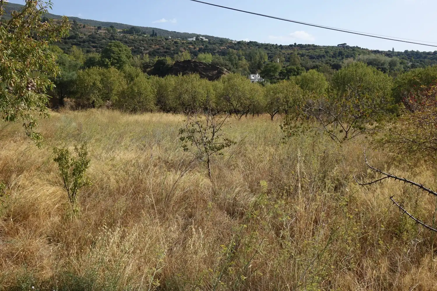 Finca rústica en venta en La Taha