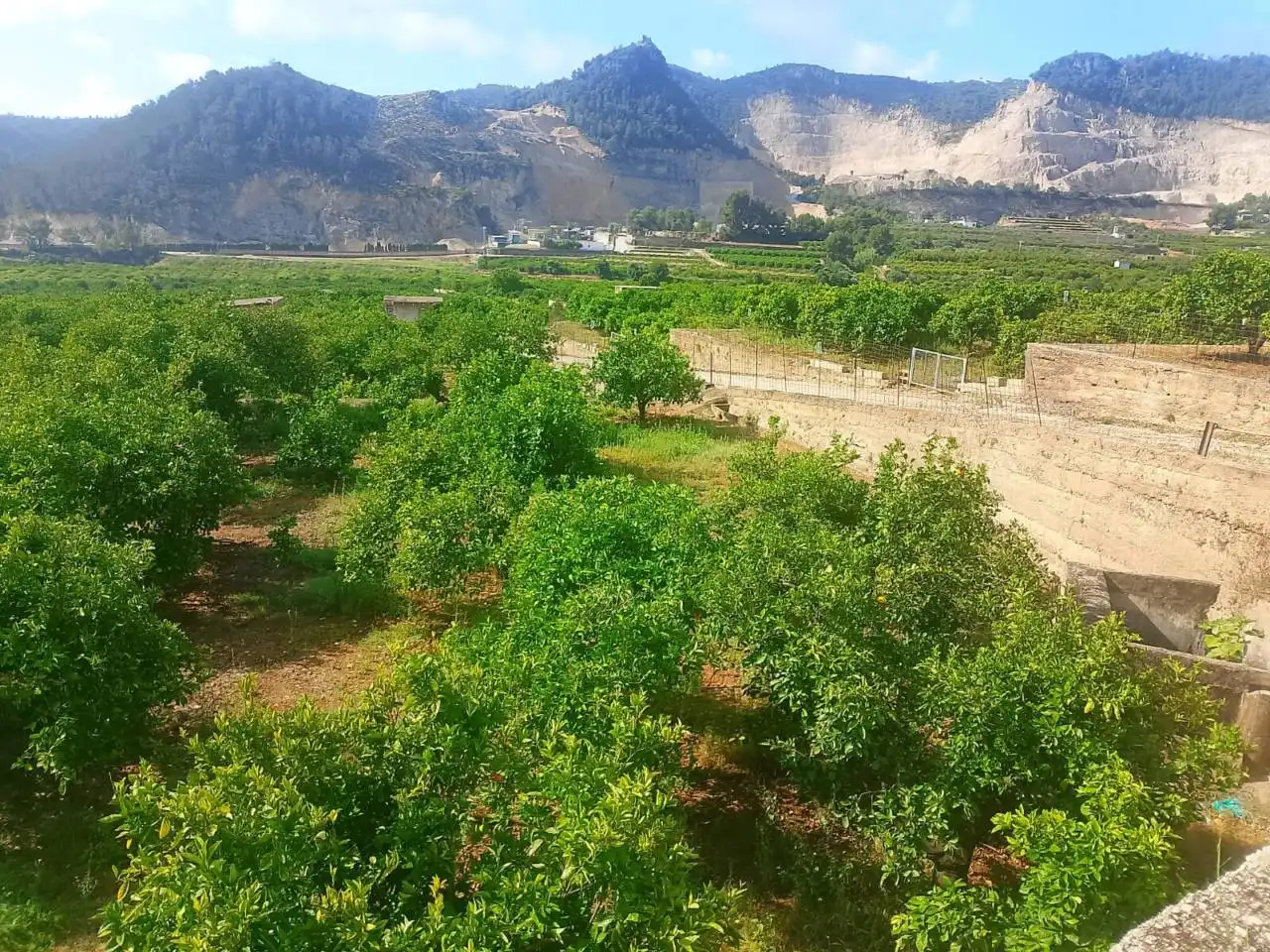 Land for sale in L'Atzúbia