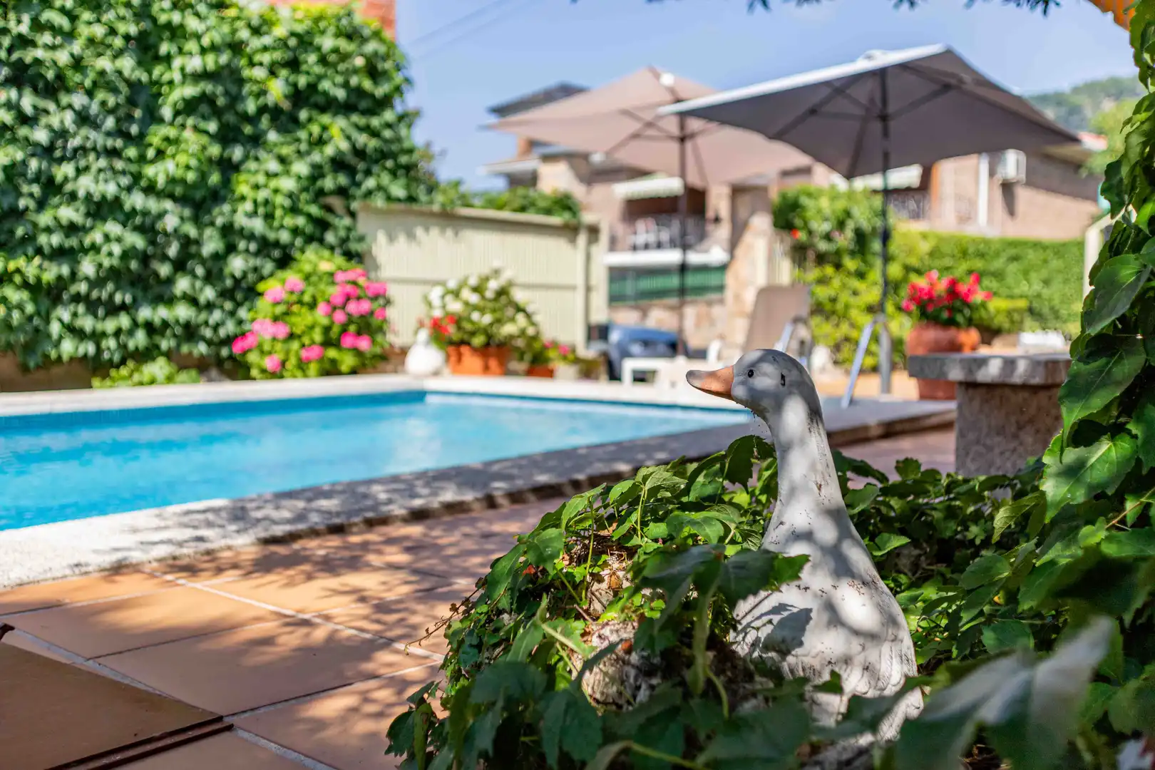 Xalet amb piscina en venda a Centro, imagen 63