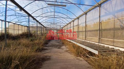 Photo 3 of Residential for sale in Pedanías Este, Alicante