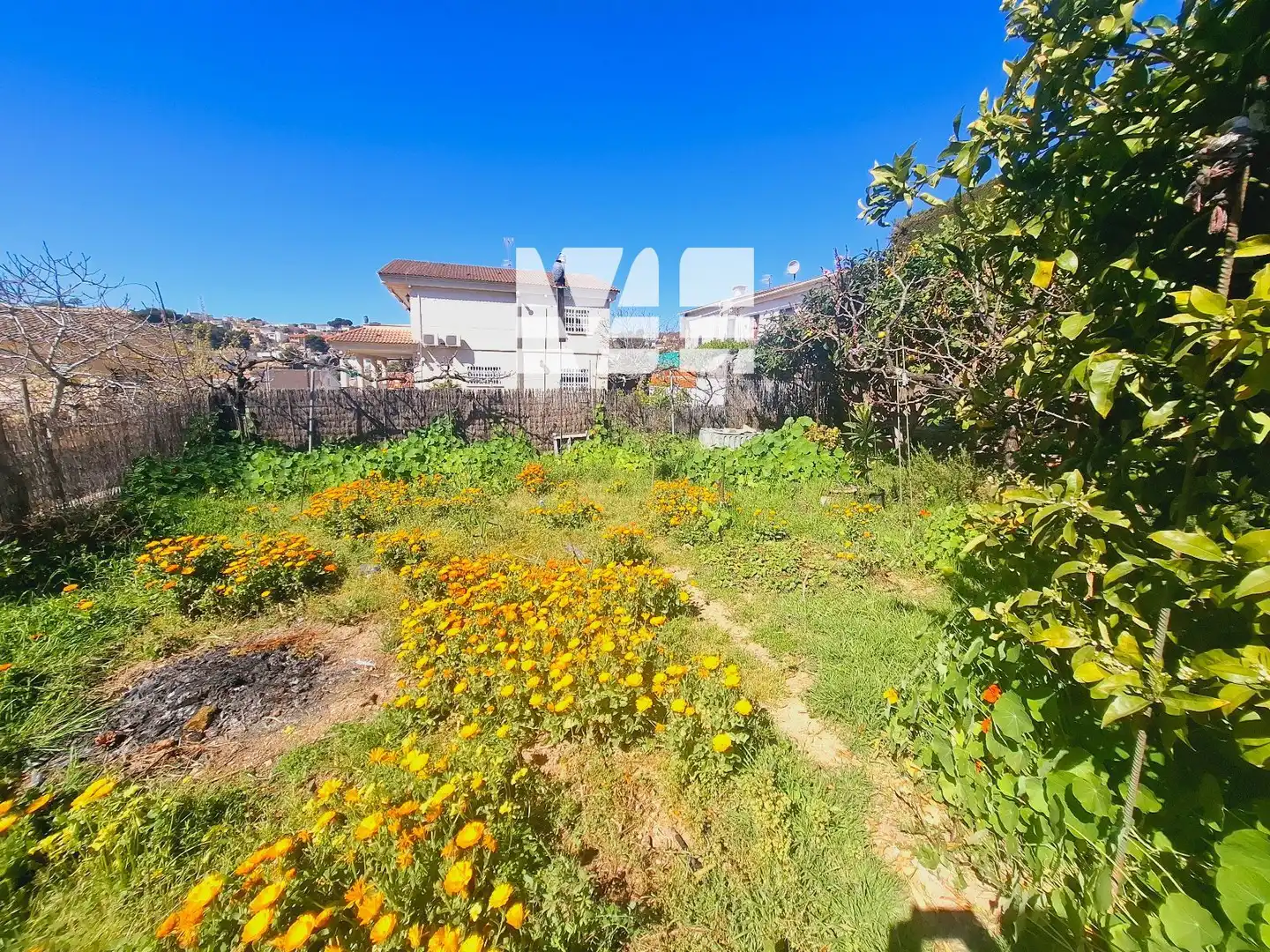 Detached house for sale in Santa Maria de Montserrat, imagen 10