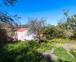 Jardí de Finca rústica en venda en Moya (Las Palmas) amb Terrassa, Forn i Rentadora