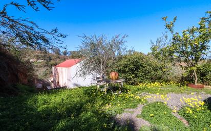 Garten von Country house zum verkauf in Moya (Las Palmas) mit Terrasse, Ofen und Waschmaschine