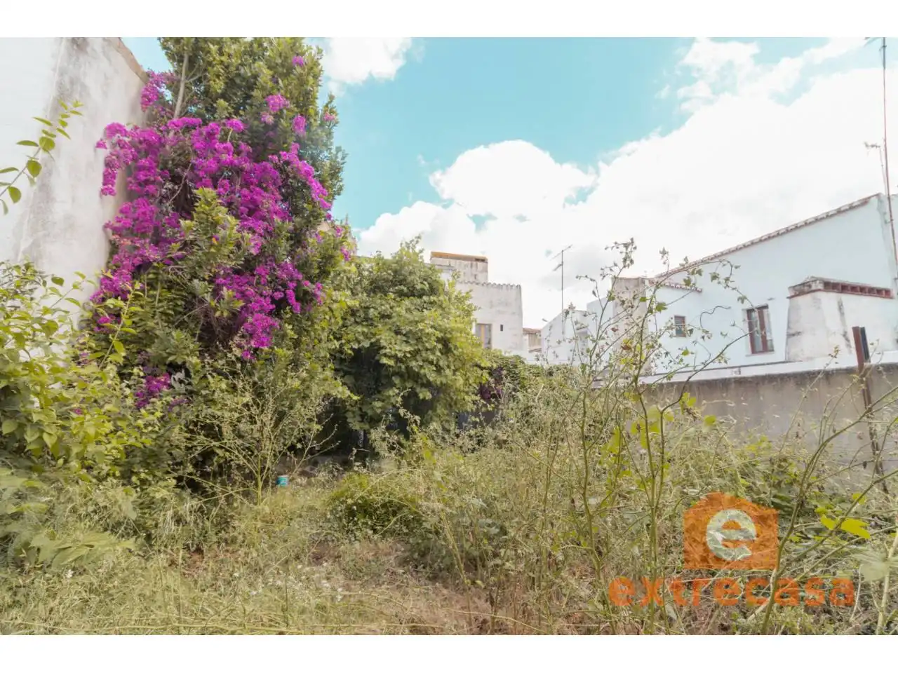 Gewerbefläche zur Miete in Olivenza, imagen 26