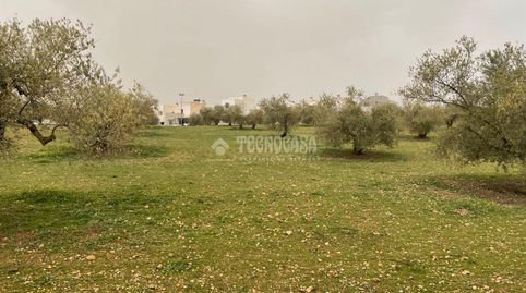 Terrenos en venta en Albolote, imagen 3