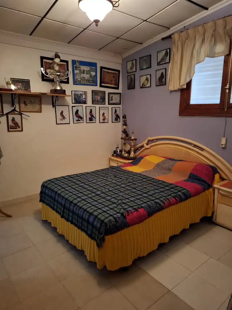Finca rústica en venda a Partida Saavedra, El Edén