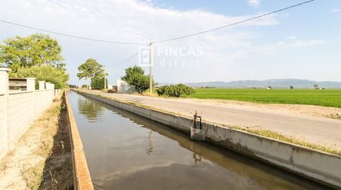 en Deltebre, imagen 4