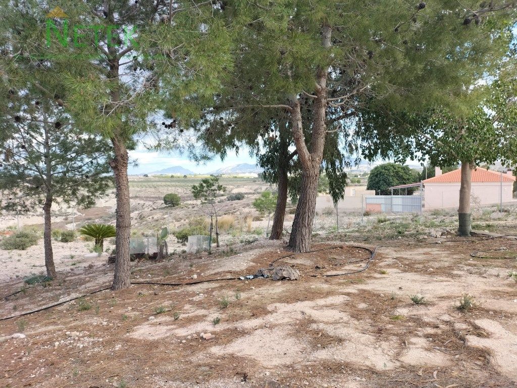 Casa o xalet en venda en Molina de Segura