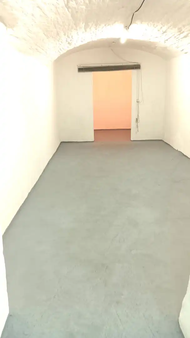 Local comercial en alquiler en Avinguda de la Llibertat, imagen 13