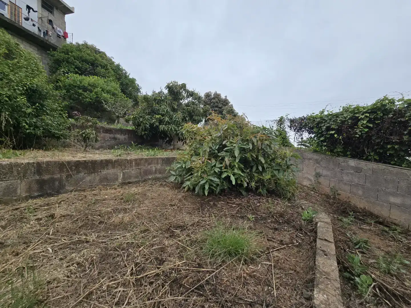 Casa o xalet en venda en Tacoronte amb Balcó