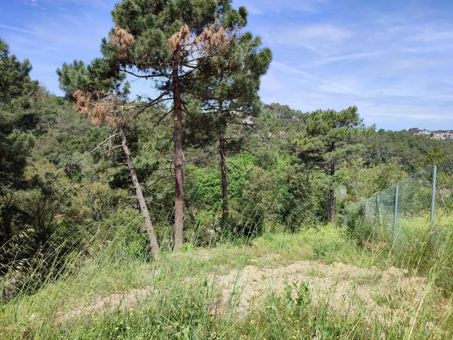 Wohnbaugrundstück zum Verkauf in Lloret Blau - La Creu de Lloret, imagen 3