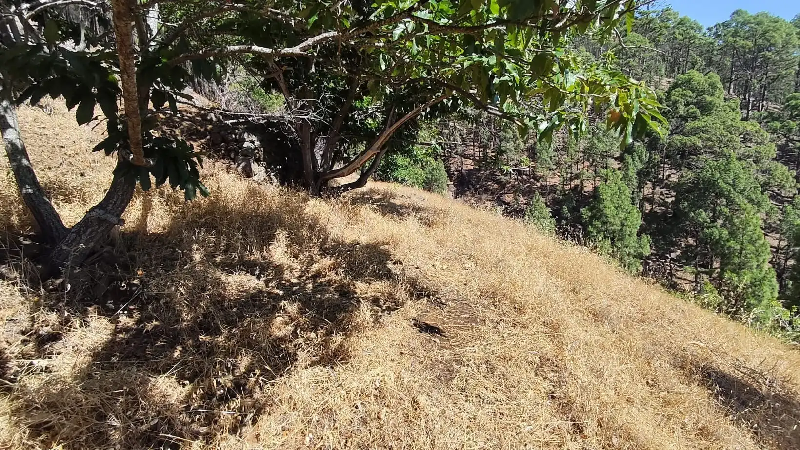 Rural land for sale in Machado - Las Barreras, imagen 12