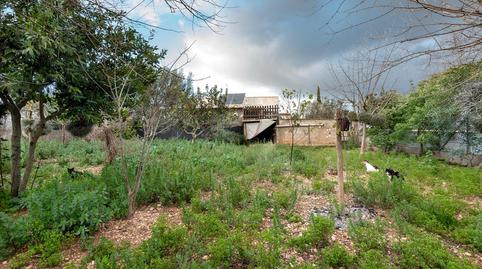 Photo 5 of House or chalet for sale in Sencelles, Illes Balears