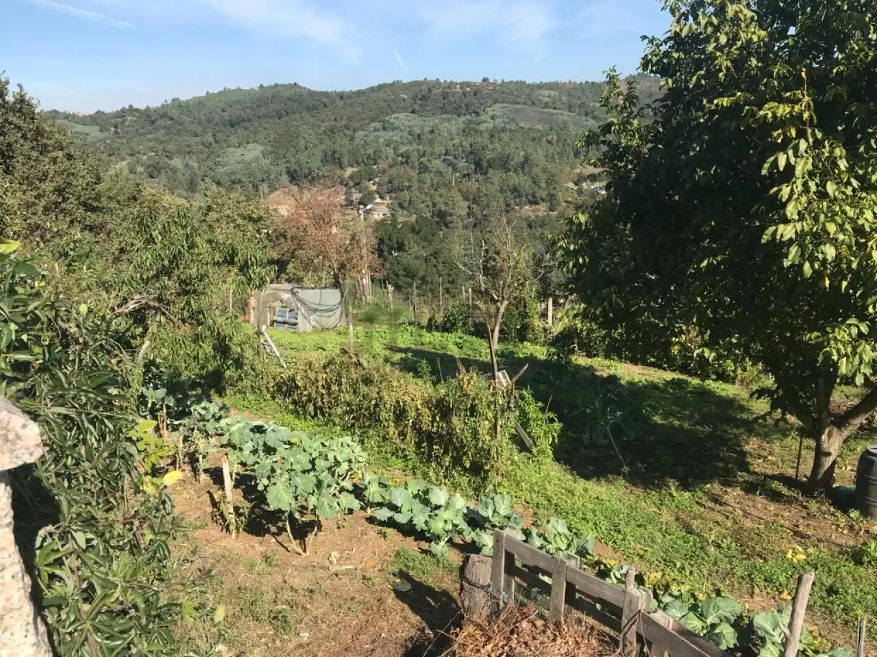 House with terrace for sale in O Pereiro de Aguiar, imagen 11