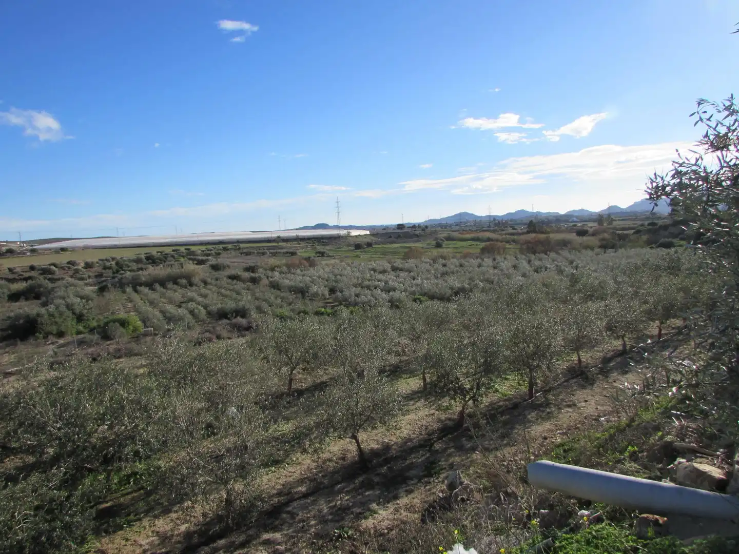 Country homes for sale in Los Gallardos  with Air Conditioner, Heating and Terrace