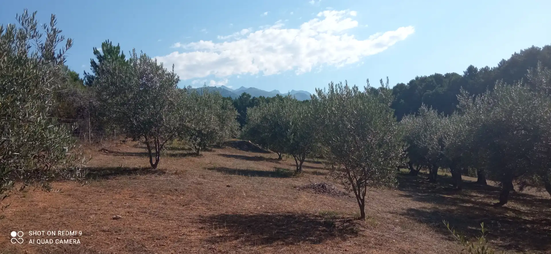 Terreno rustico in vendita a Candeleda, imagen 3