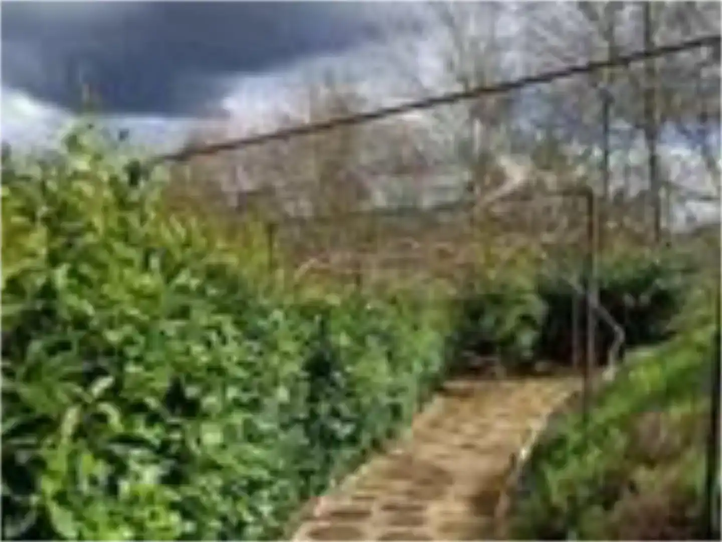 Jardí de Finca rústica en venda en San Sadurniño amb Jardí privat