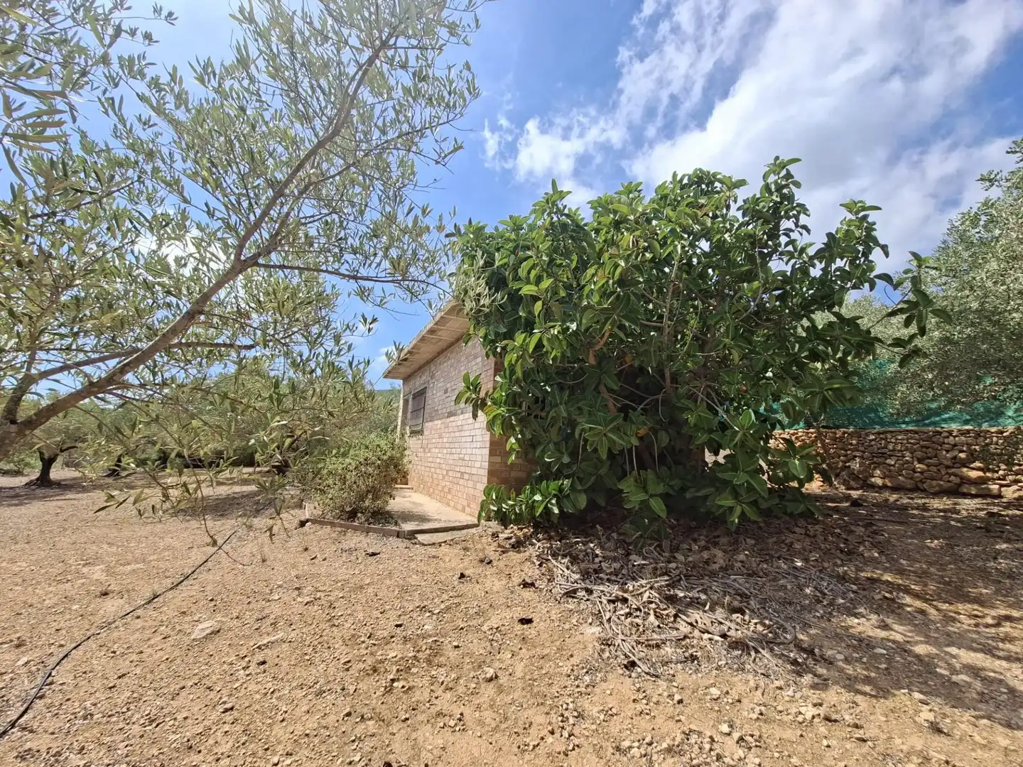Terreno rustico in vendita a Partida del Mas d'en Civill, imagen 4