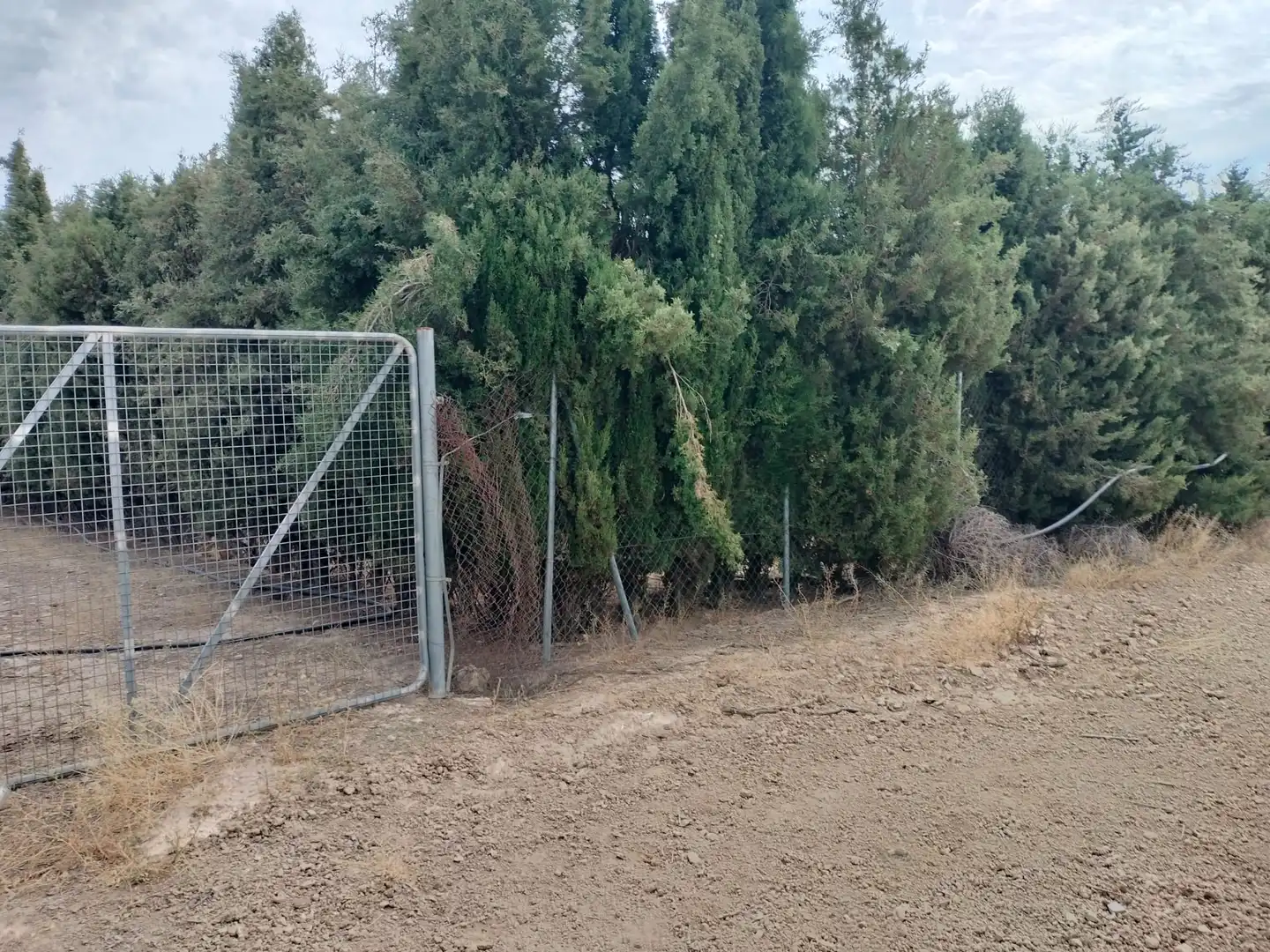 Terreno rústico en venta en La Malahá, imagen 19