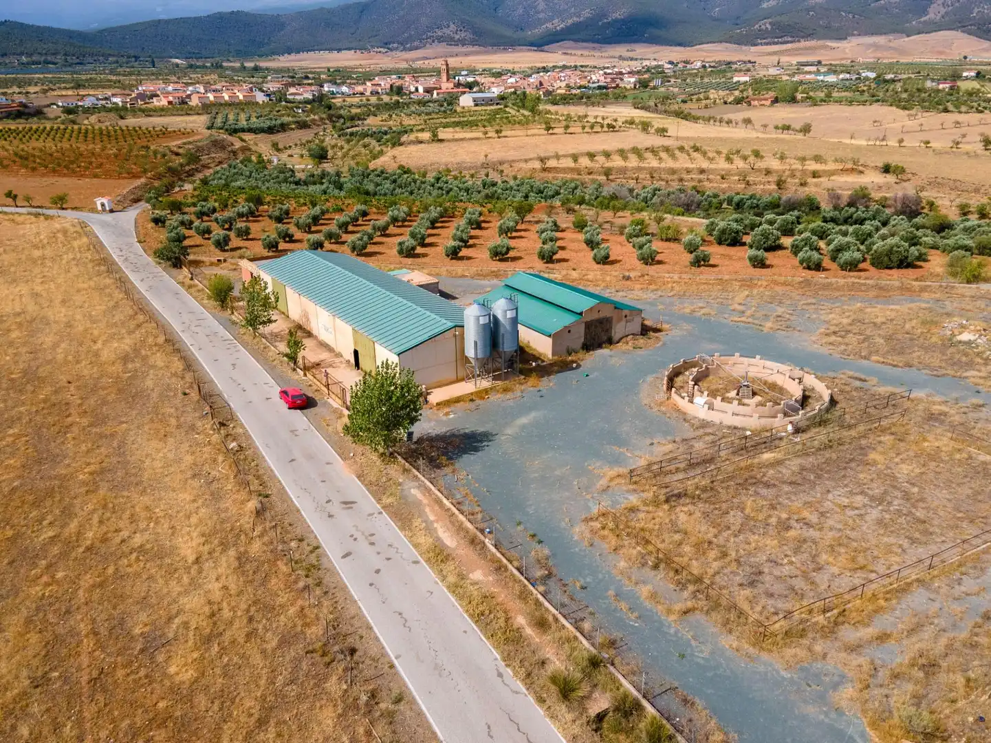 Terreno en venta en Cogollos de Guadix