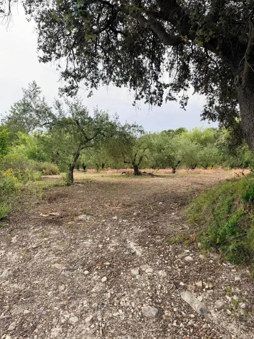 Terreno residenziale in vendita a Albaida, imagen 11