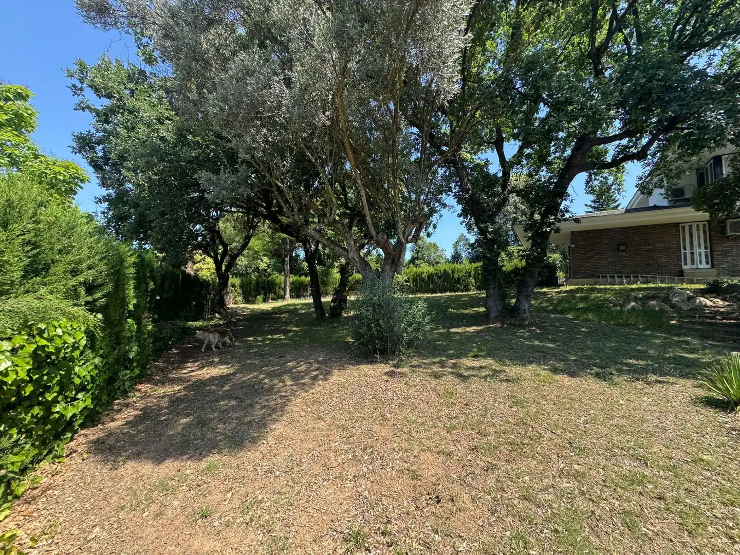 Houses for rent in Santa Coloma de Farners