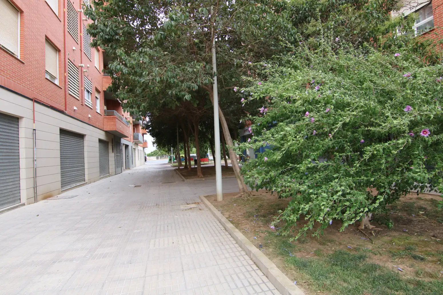 Exterior view of Commercial properties for rent in Paiporta
