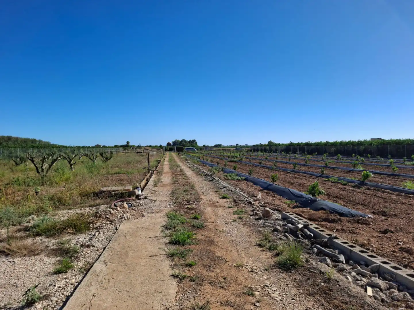 Terreny residencial en venda a Pego, imagen 21
