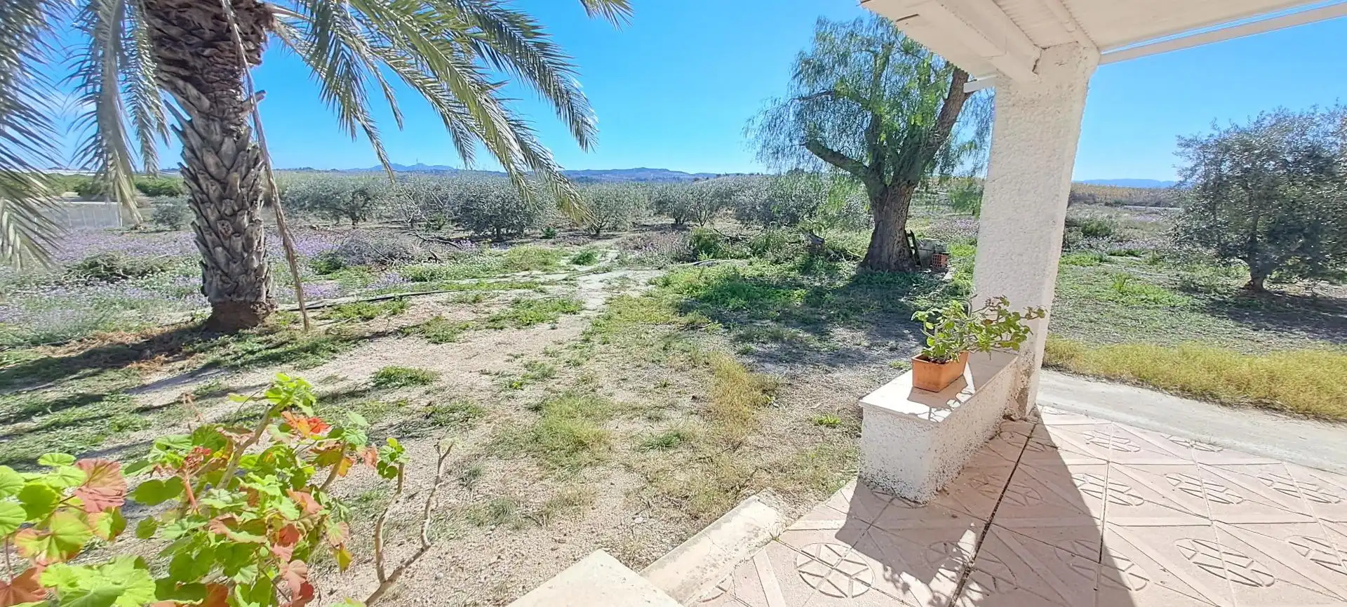 Casa o chalet en venta en Molina de Segura con Jardín privado y Trastero