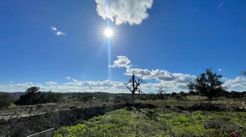 Photo 3 of Country house for sale in Carrer Poligono 7 Parcela 199, Llubí, Illes Balears