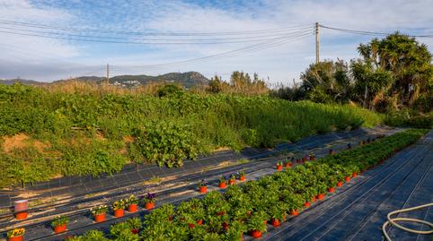 Foto 2 de Terreny en venda a Poligono Industrial Els Garrofers, Zona Industrial i Agrícola, Vilassar de Mar