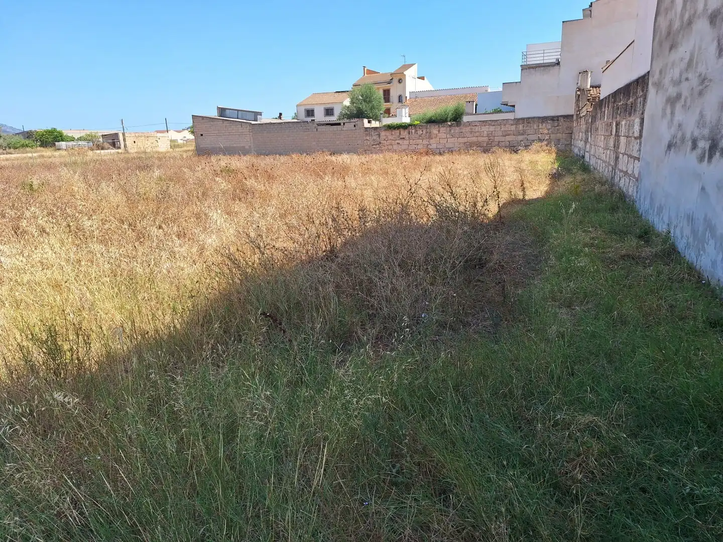 Lands and plots for sale in Sa Pobla, imagen 10