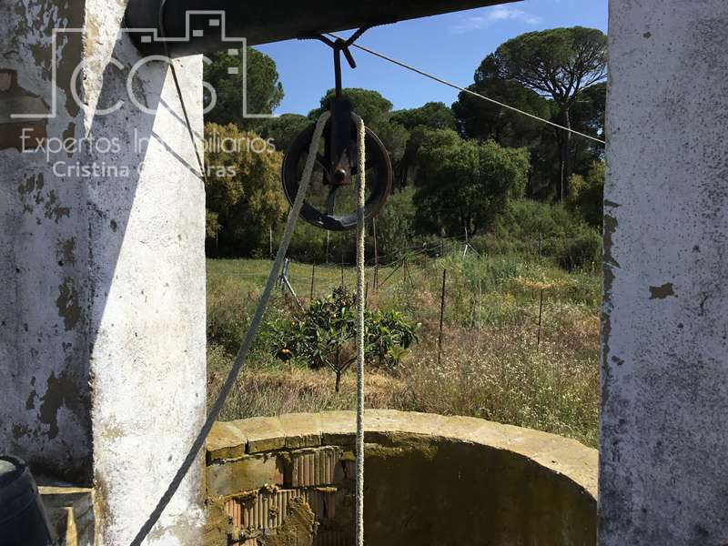 Garten von Country house zum Verkauf in Almonte mit Terrasse und Möbliert