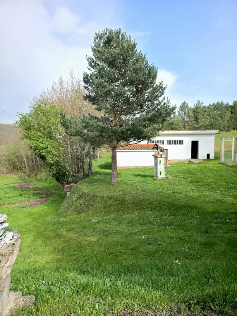 Casa o xalet en venda en Pomar de Valdivia amb Calefacció, Jardí privat i Terrassa
