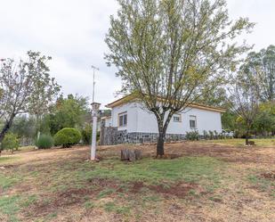 Finca rústica en venda a Calle Huerta Grande, Alosno pueblo