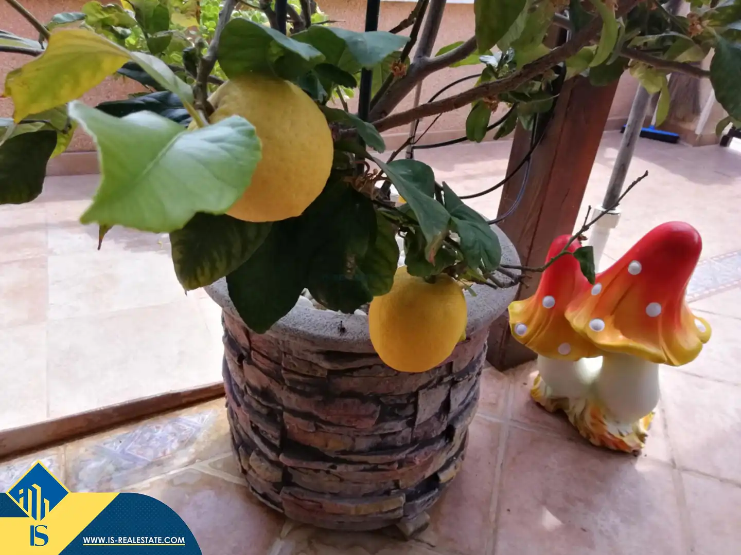 House with pool for sale in Orihuela Costa, imagen 36